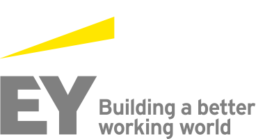 Ernst & Young Infrastructure Advisors, LLC